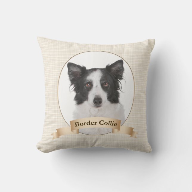 Bordure Coussin Collie (Recto)