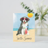 Bordure d'été Collie Carte postale (Debout devant)