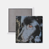 Bordure noire Collie Face Dog Magnet (Recto/Verso)