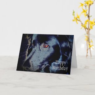 Bordure noire Collie Visage Animal Art Carte Anniv