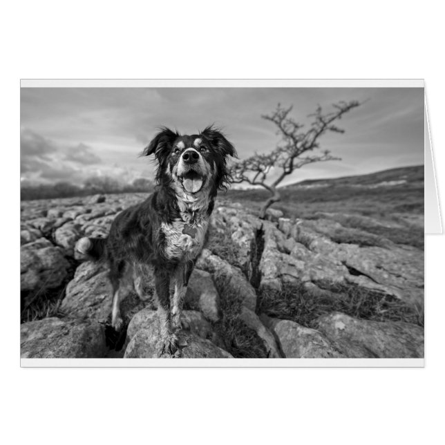 Bordure sur guet (Devant horizontal)