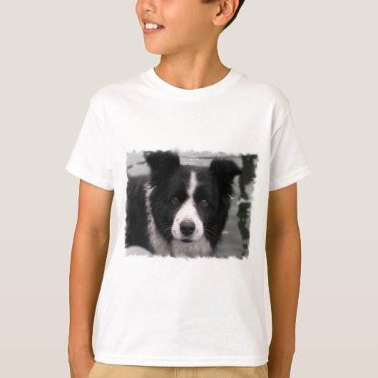Bordure T-shirt Collie Kid (Devant)