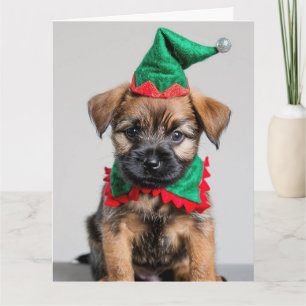 Bordure Terrier Elf Puppy Carte de Noël