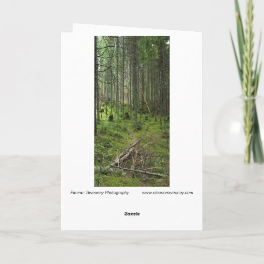 "Boreal Life Trail" Adirondack Forest Scene Kaart (Achterkant)