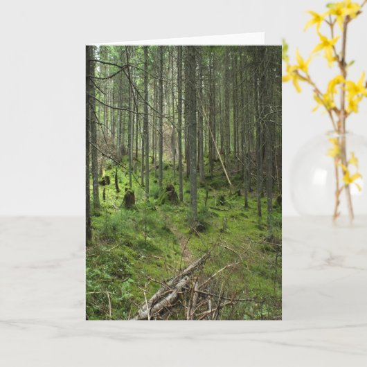 "Boreal Life Trail" Adirondack Forest Scene Kaart (Gele Bloem)