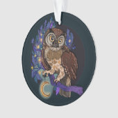 Boreale Nacht Owl Ornament (voorkant)