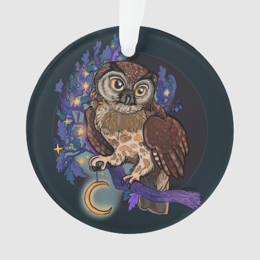 Boreale Nacht Owl Ornament (voorkant)