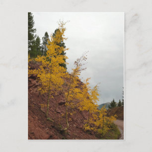 boreas passaspens briefkaart