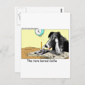 Bored Border Collie Funny Gifts T - shirts Collecb Briefkaart (Voorkant / Achterkant)