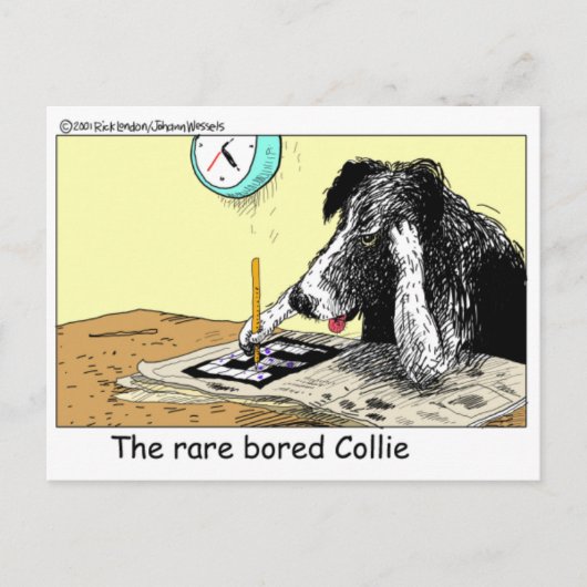 Bored Border Collie Funny Gifts T - shirts Collecb Briefkaart (Voorkant)