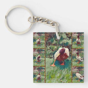 Bored Duck Photo Collage, Keyring Sleutelhanger