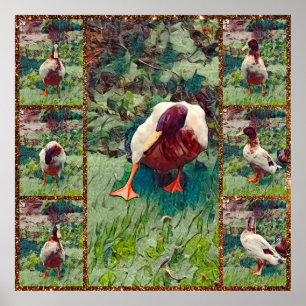 Bored Duck Photo Collage, Poster