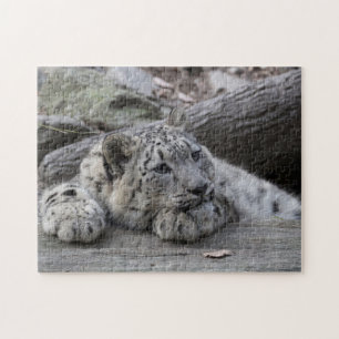 Bored Sneeuwluipkuil Legpuzzel