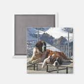 Bored St Bernard Magneet (Voorkant / Achterkant)