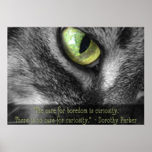 Boredom - Curiositeit, Dorothy Parker citeert post Poster