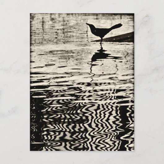 Borg met reflectie op water - Briefkaart (Voorkant)