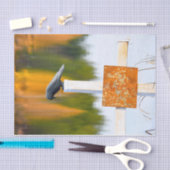 Borg najaar Oranje ontkoppeling Tissuepapier (Craft)