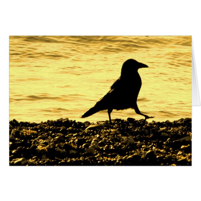 Borg op de strand (Voorkant Horizontaal)