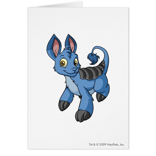 Bori Blue (Voorkant)