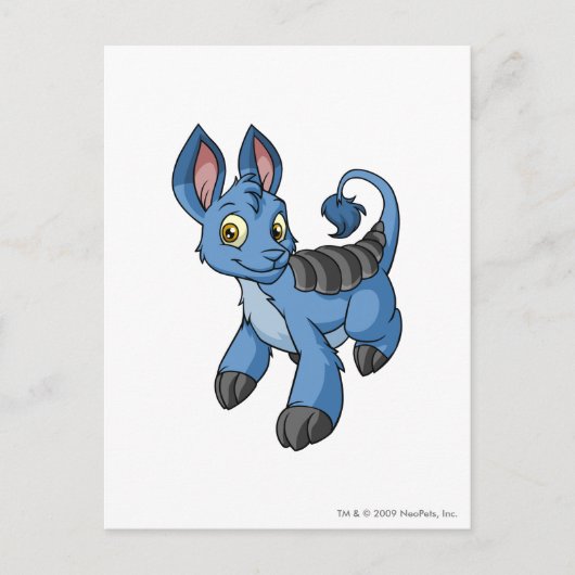 Bori Blue Briefkaart (Voorkant)