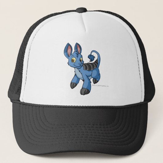 Bori Blue Trucker Pet (Voorkant)