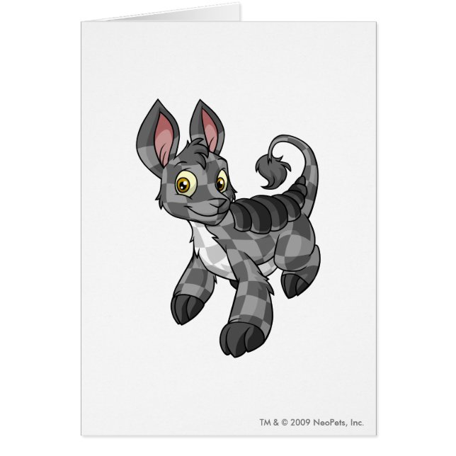 Bori Checkered (Devant)