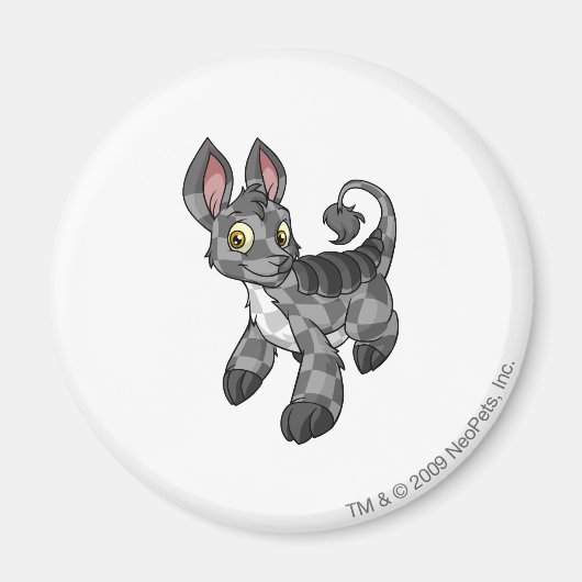 Bori Checkered Magneet (Voorkant)