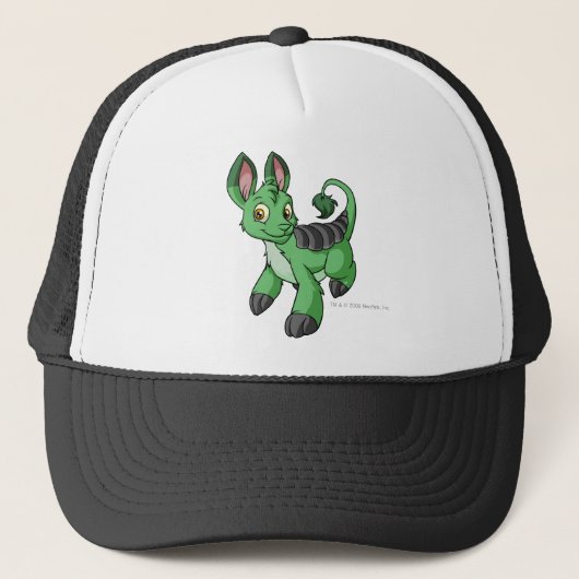 Bori Green Trucker Pet (Voorkant)