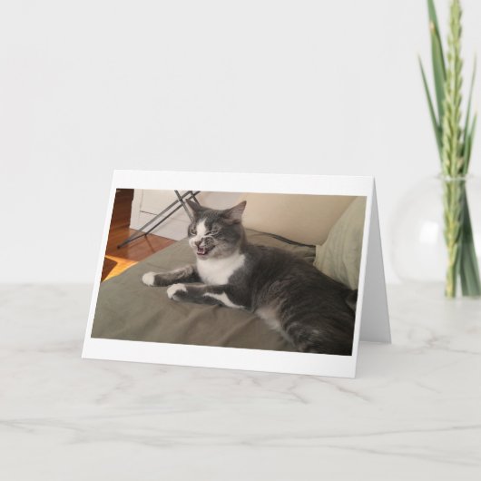 Boris de Schattigee Nubber Kat Groet Kaart (Voorkant)