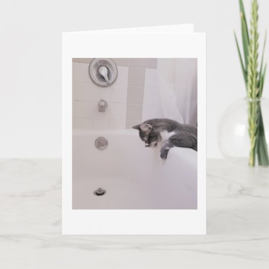 Boris de Schattigee Nubber Kat Groet Kaart (Voorkant)