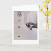 Boris de Schattigee Nubber Kat Groet Kaart (Gele Bloem)