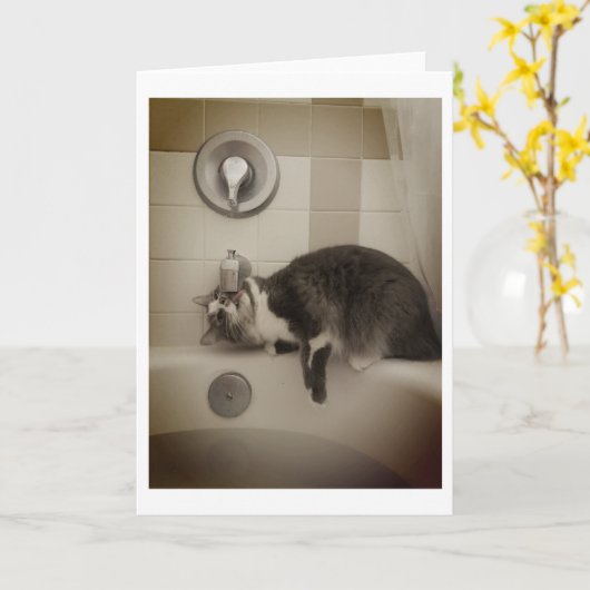 Boris de Schattigee Number Kat groet Kaart (Gele Bloem)