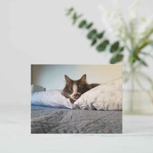 Boris het Schattigee Nubber Kat Briefkaart (Staand voorkant)