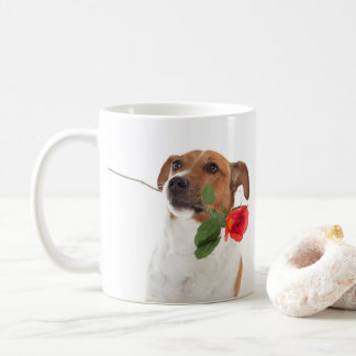 Boris - Jack Russell Terrier - tasse de rose de