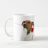 Boris - Jack Russell Terrier - tasse de rose de (Gauche)