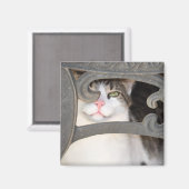 Boris Kat Magnet Magneet (Voorkant / Achterkant)