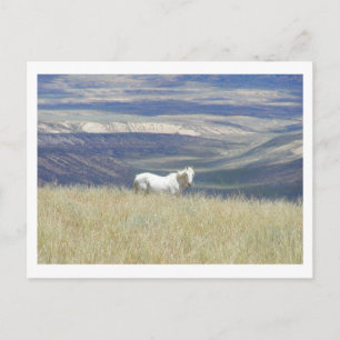 Born Free Mustang Horse Briefkaart