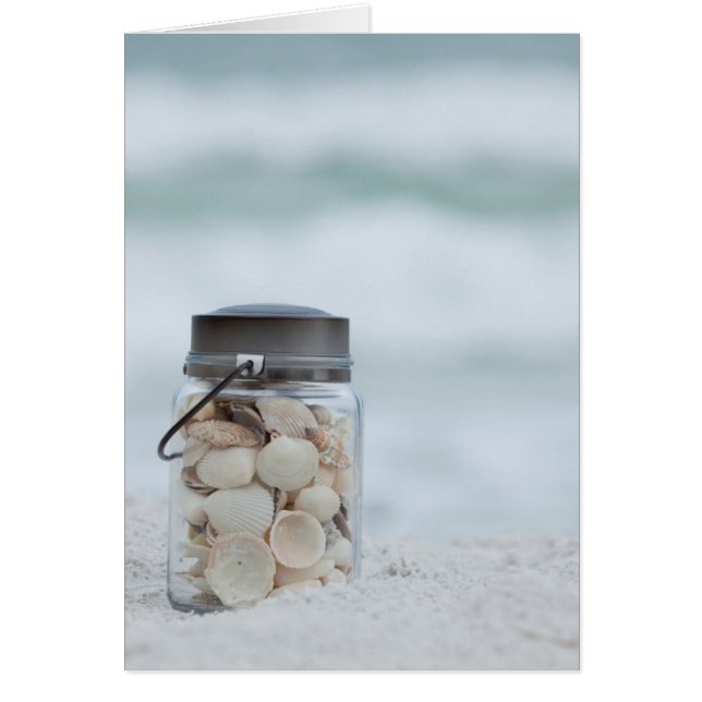 Borne De Coquillages Sur La Plage | Floride (Devant)