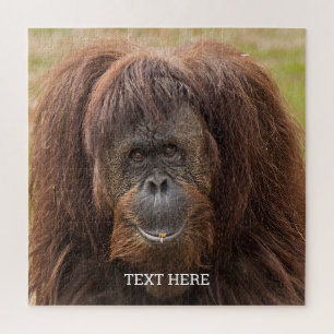 Borneo orang-oetan mooie fotografie legpuzzel