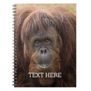 Borneo orang-oetan mooie fotografie notitieboek