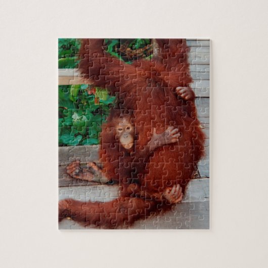 Borneo orangutan legpuzzel (Verticaal)