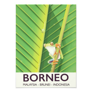 Borneo Poison-kikkervisposter Foto Afdruk