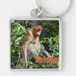 Borneo Proboscis Monkey Keychain