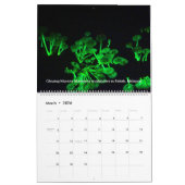 Borneo Rainforest Calendar Kalender (Mar 2026)