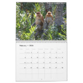 Borneo Rainforest Calendar Kalender (Feb 2026)