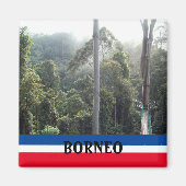 Borneo Rainforest Oerwoud Schilderachtig Souvenir Magneet (Voorkant)