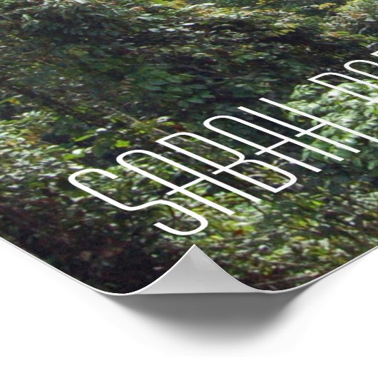 Borneo Rainforest Oerwoud Treetops Walkway Sabah Poster (Hoek)