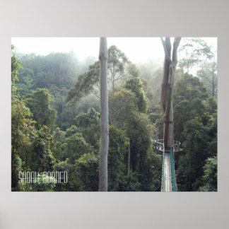 Borneo Rainforest Oerwoud Treetops Walkway Sabah Poster