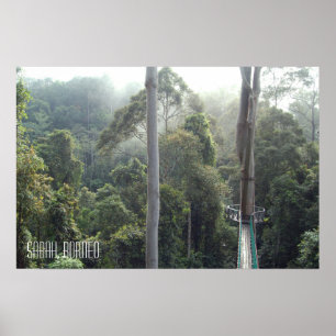 Borneo Regenwoud Jungle Boomtoppen Wandelpad Sabah Poster