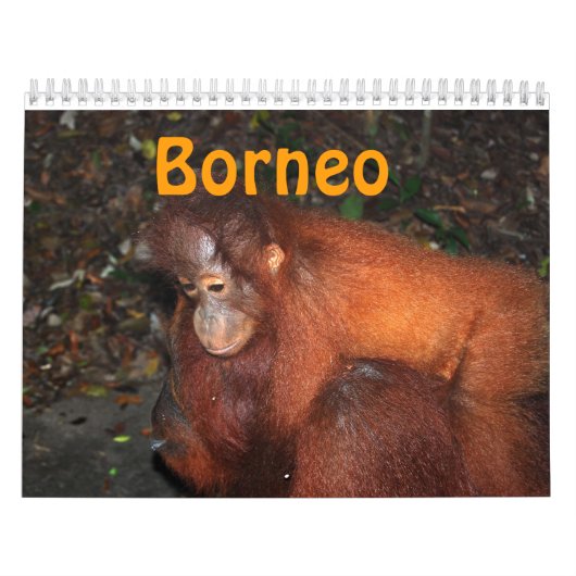Borneo Travel en Orangutans Kalender (Hoes)
